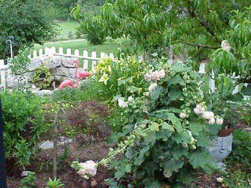 Center Hill Lake farm garden